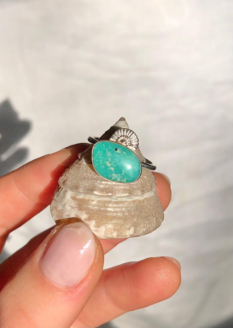 CONCHA // Size 6.5-7 // Seashell Ring in Turquoise