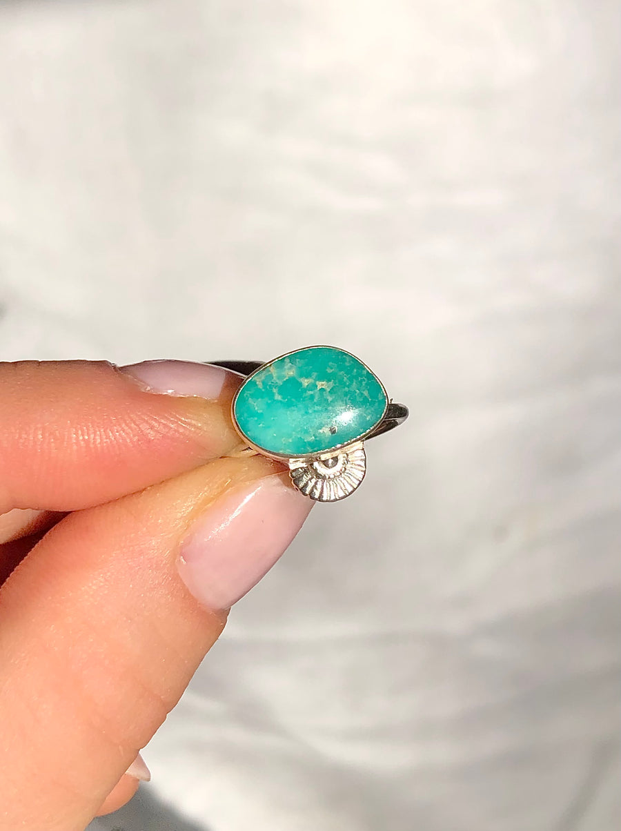 CONCHA // Size 6.5-7 // Seashell Ring in Turquoise